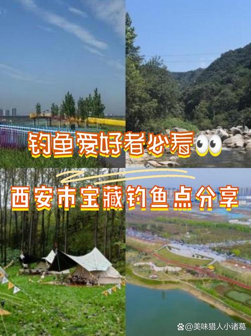 張家塬免費釣魚攻略_西安附近野釣_陜西西安附近免費釣魚地點