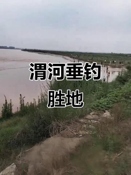 西安灃河入渭口釣魚_西安灃河釣魚地點推薦_西安附近野釣