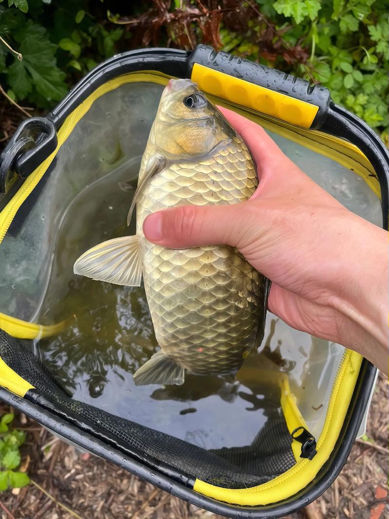 西安灃河釣魚地點推薦_西安灃河入渭口釣魚_西安附近野釣