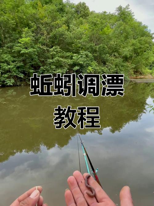 蚯蚓調漂技巧_蚯蚓釣魚怎樣調漂_蚯蚓釣餌調漂方法