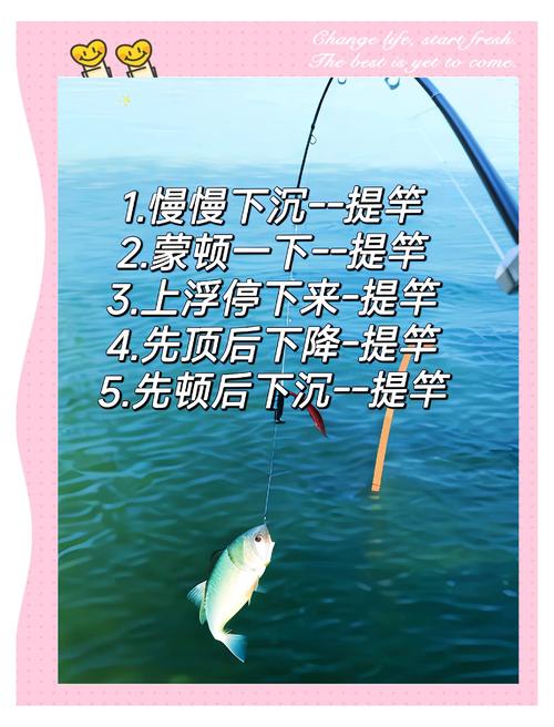 釣魚小竅門選擇時間和地點_釣魚技巧選擇釣具_最新釣魚方法