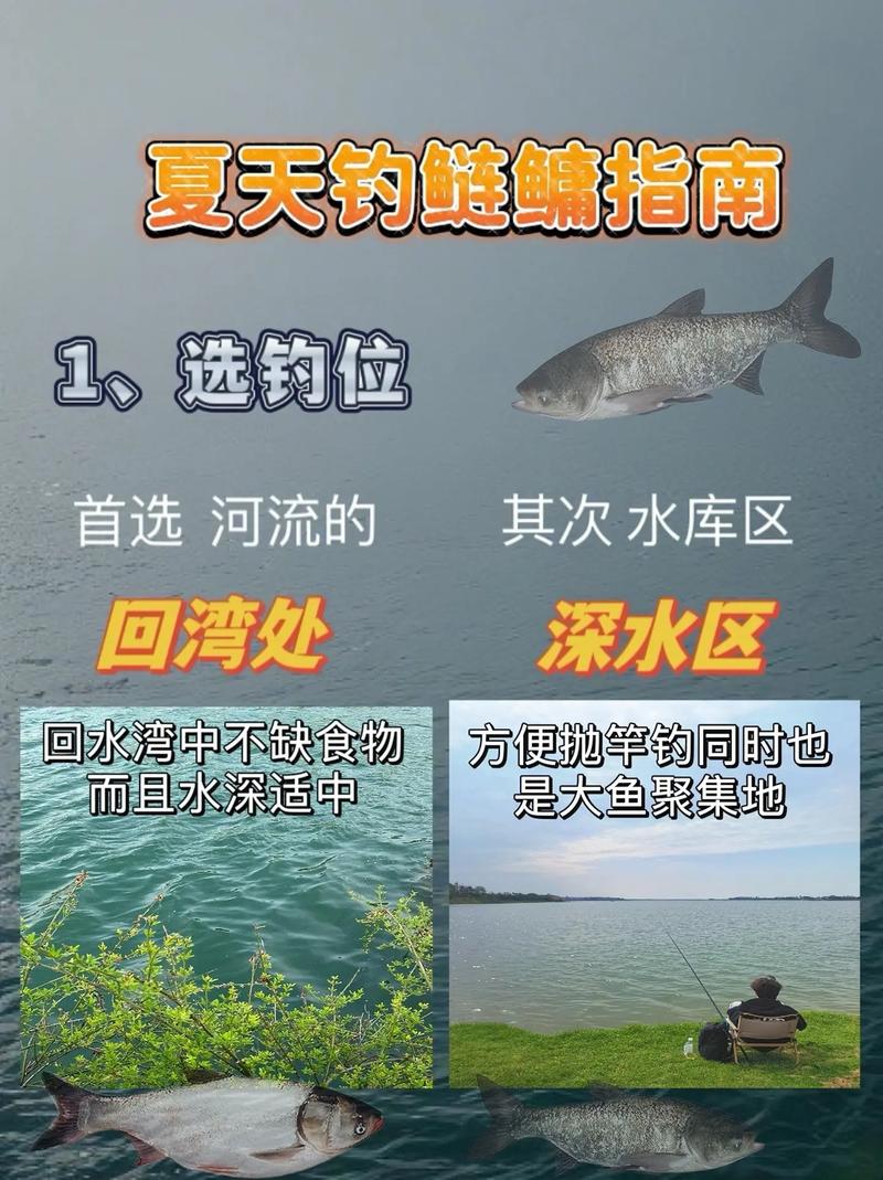 鰱鳙釣位選擇_釣鰱鳙技巧_鰱魚釣法