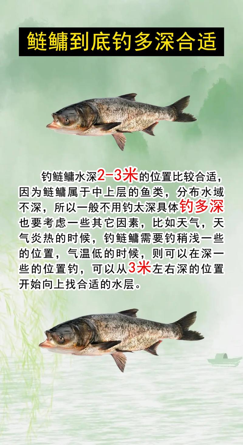 鰱魚釣法_鰱鳙釣位選擇_釣鰱鳙技巧