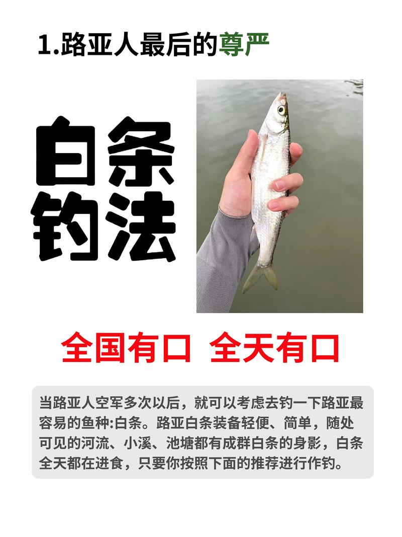 白餌拉絲粉使用方法_白餌搓餌技巧_釣魚搓餌制作