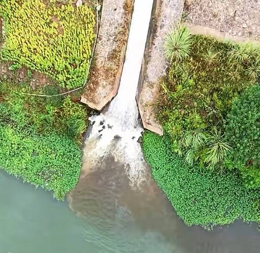 小東江_污水直排入江整治_小東江水質惡化治理