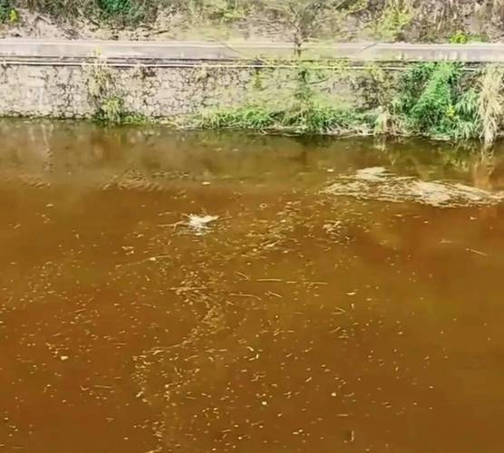 小東江水質惡化治理_污水直排入江整治_小東江