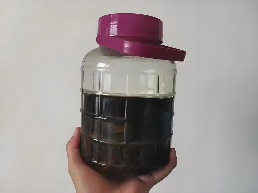 米酒泡米釣魚有什么效果_酒米誘魚效果_酒米泡制方法