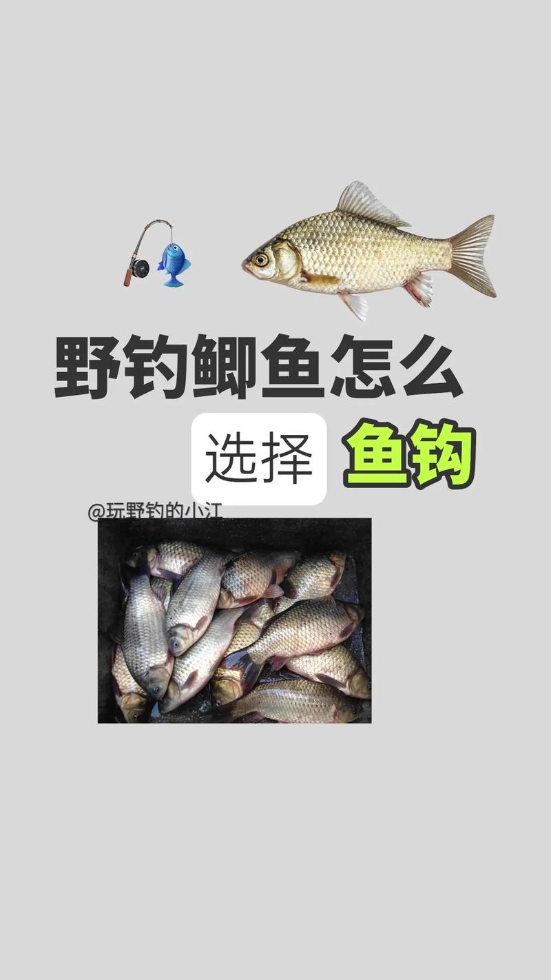 野釣大小通殺魚鉤_野釣鯽魚用什么鉤_伊豆海夕選擇
