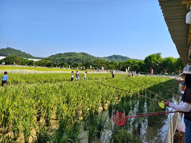 三道堰野釣_成都三道堰野釣攻略_三道堰釣魚地點推薦