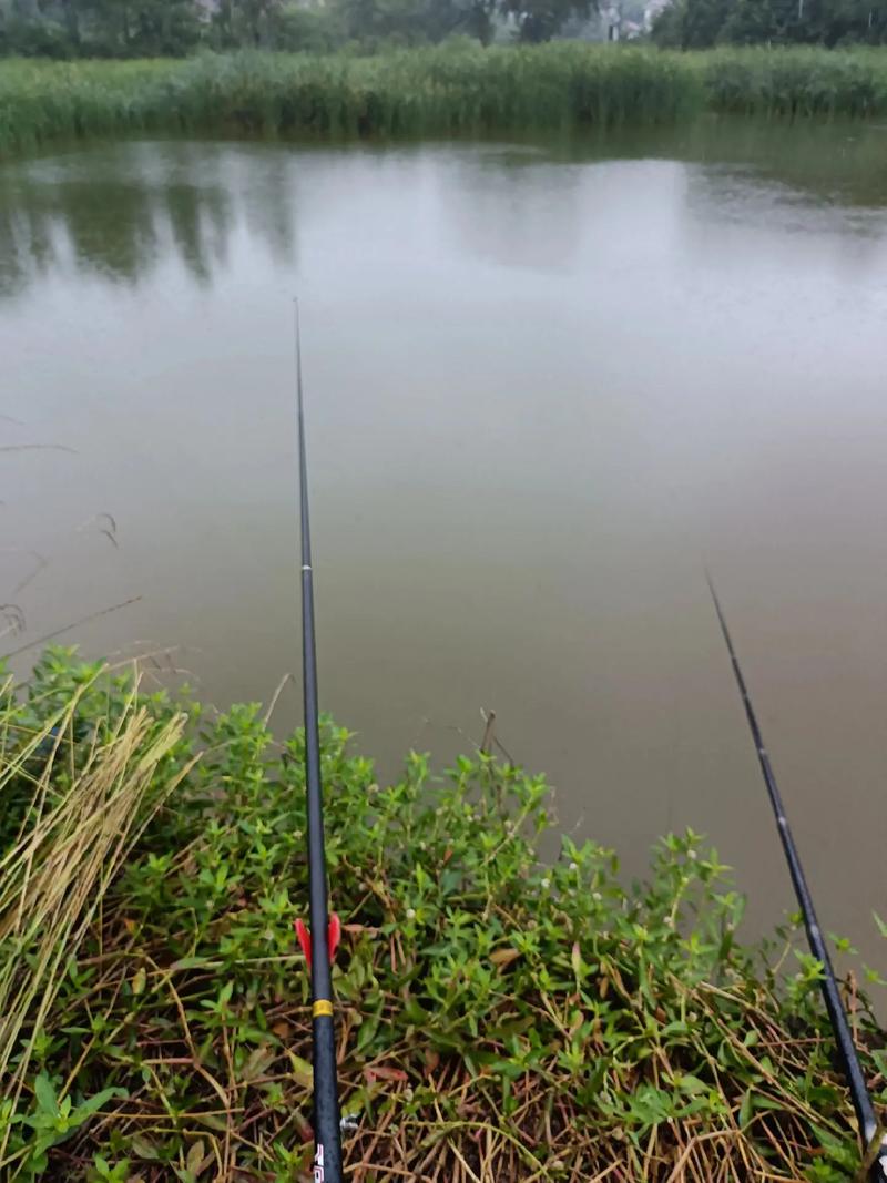 下雨天晚上釣魚技巧_夏天下雨之后晚上好不好釣魚釣魚_下雨之后第二天好釣魚嗎
