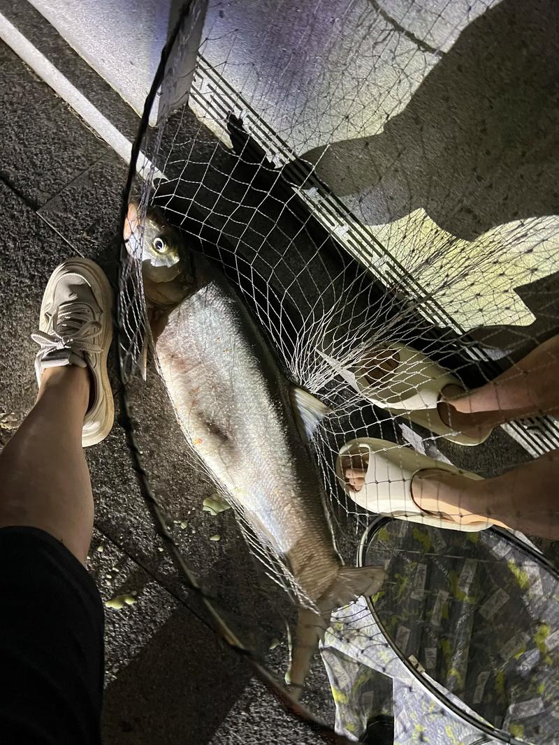 有沒有來釣魚的啊釣魚之家_非法垂釣_休閑垂釣