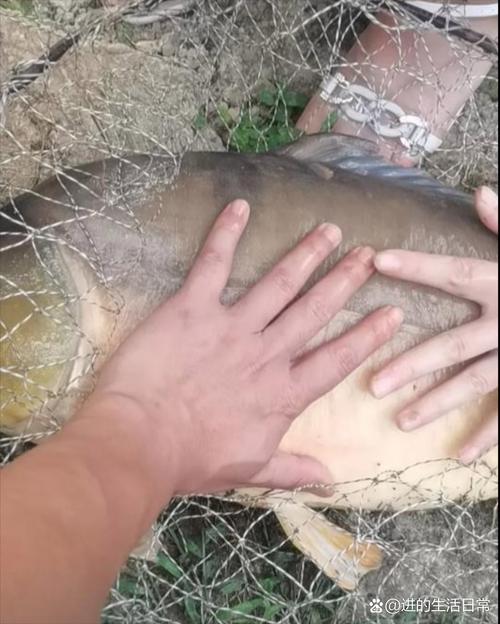 休閑垂釣_有沒有來釣魚的啊釣魚之家_非法垂釣