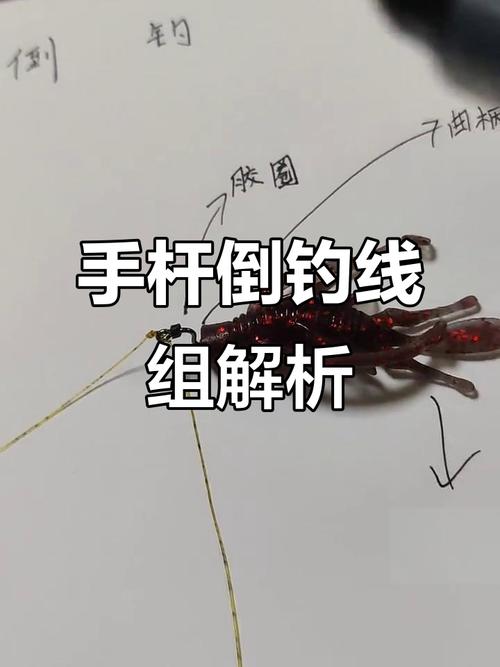 鱸魚活餌釣法技巧_釣鱸魚線組搭配_鱸魚怎么釣