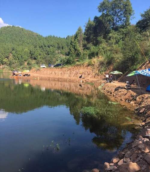 升鐘水庫釣魚農家樂_中國升鐘湖國際釣魚大賽_升鐘湖旅游攻略
