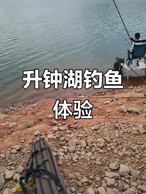 中國升鐘湖國際釣魚大賽_升鐘湖旅游攻略_升鐘水庫釣魚農家樂