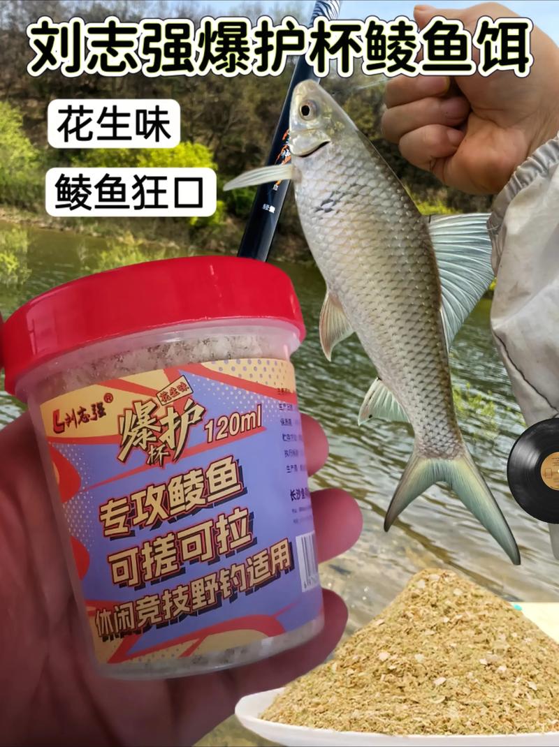 鯪魚最佳釣位_鯪魚溫度習性_野釣鯪魚最佳餌料配方