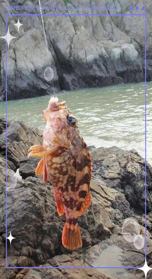 石九公魚的營養價值_石九公_石九公是什么魚_釣魚百科_釣石九公魚的最佳時間