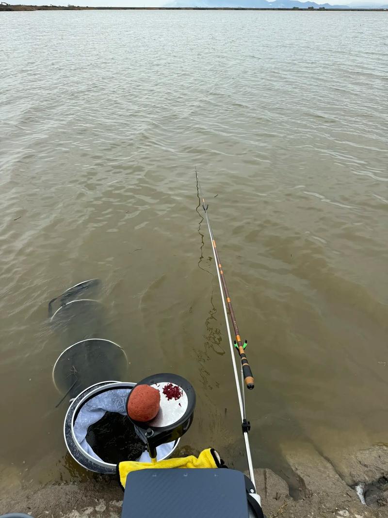 春天釣鯽魚鯉魚技巧_春季釣魚好釣嗎_窩料輕打底勤補窩