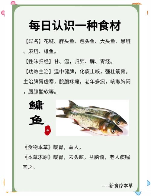 鳙魚圖片_鳙魚分布區域_鳙魚種類特點