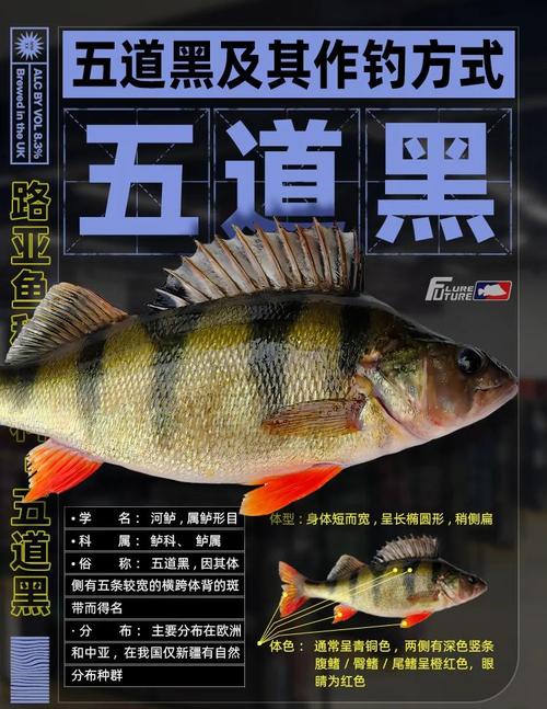 史上最全的路亞打黑魚攻略_秋季黑魚釣位選擇_秋季釣黑魚技巧
