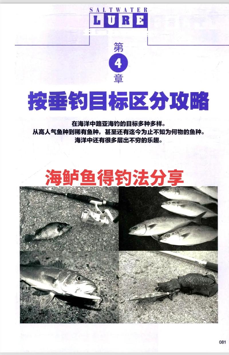 路亞海鱸_新手海邊路亞釣法_海鱸魚鲅魚路亞技巧