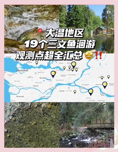 三文魚生活習性_三文魚環境分析_魚的生活習性