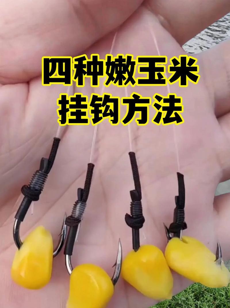 玉米釣餌做法_玉米串鉤釣鰱鳙技巧?_玉米窩料制作技巧