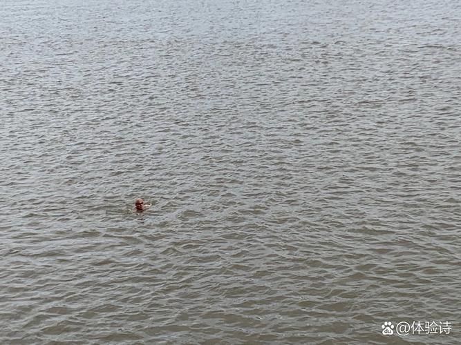 首戰支嘎阿魯湖漁獲慘淡風景宜人_首戰支嘎阿魯湖漁獲慘淡風景宜人_首戰支嘎阿魯湖漁獲慘淡風景宜人