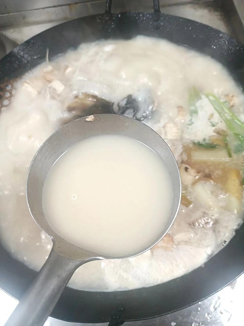 花鰱魚頭燉湯技巧_瘦肉釣鰱鳙餌料清燉花鰱魚頭的家常做法?_花鰱魚頭怎么燉做法