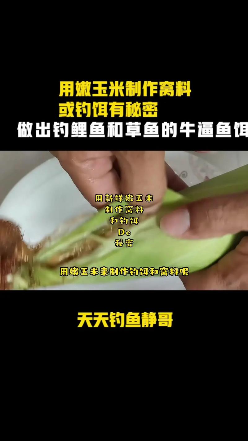 嫩玉米釣魚餌料_嫩玉米釣魚配方_泡嫩玉米制作方法