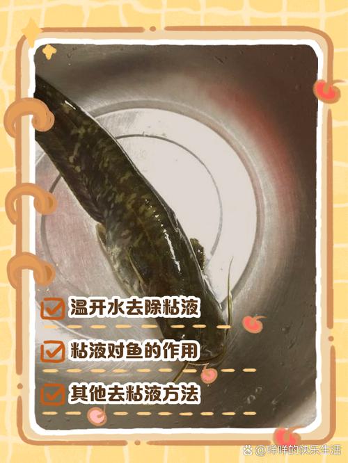 鯰魚吃人事件_巨型鯰魚吃人視頻_鯰魚吃人的電影叫什么