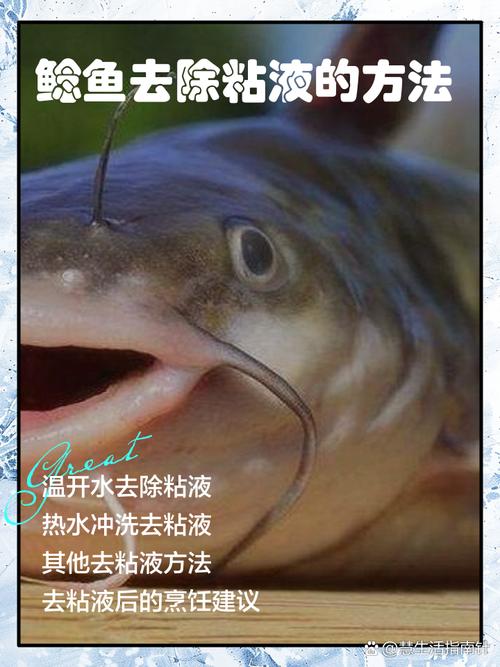 鯰魚吃人的電影叫什么_巨型鯰魚吃人視頻_鯰魚吃人事件