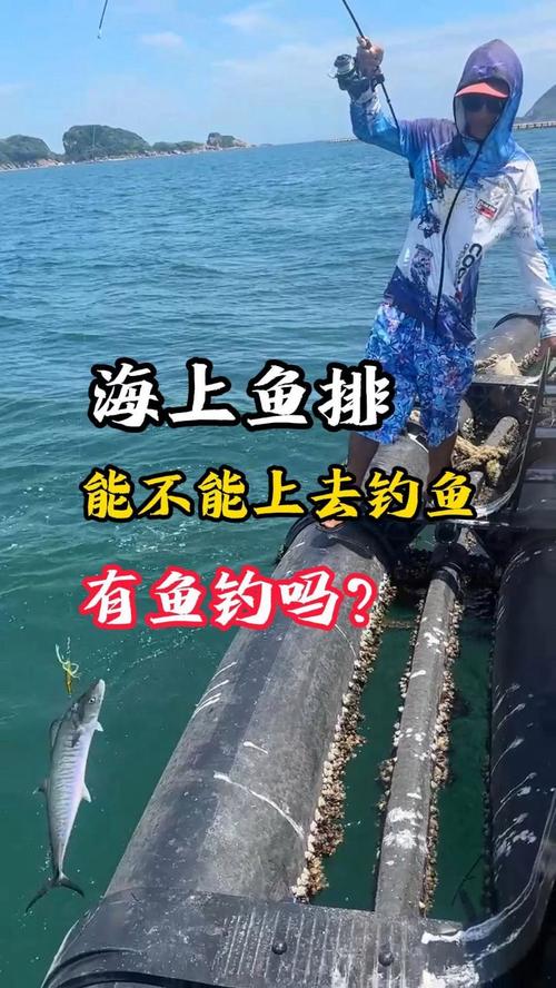 養魚的魚排釣魚技巧_養殖性魚排與商業性魚排選擇_海釣技巧之排釣