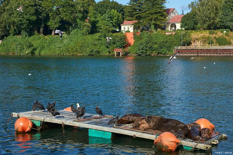 湖源溪自然風光休閑地_杭州免費釣魚好去處_杭州富陽湖源溪垂釣