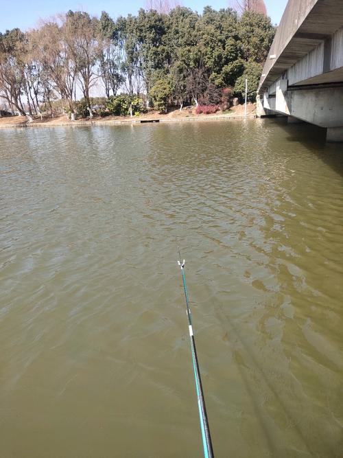 掛綠湖有什么魚_掛綠湖第一次釣魚新手_掛綠湖釣魚什么魚最多