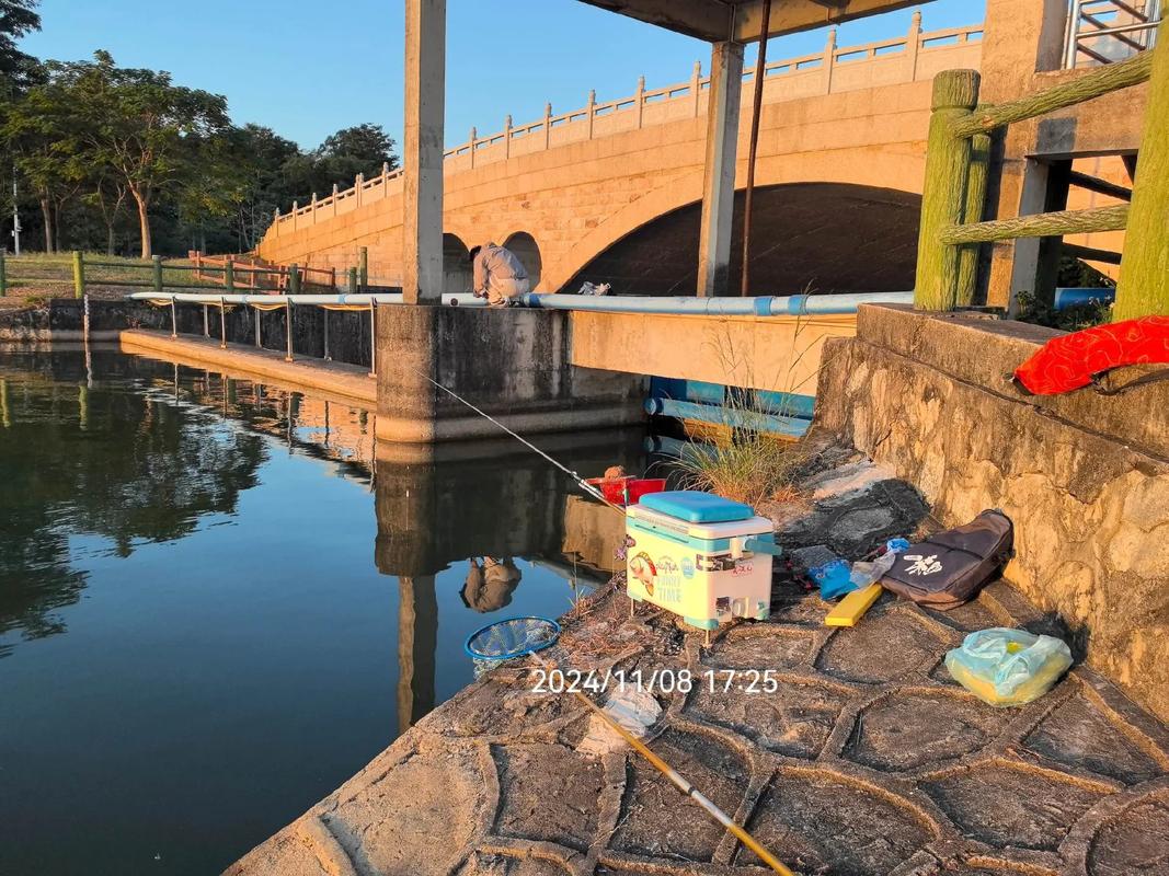 掛綠湖釣魚什么魚最多_掛綠湖第一次釣魚新手_掛綠湖有什么魚