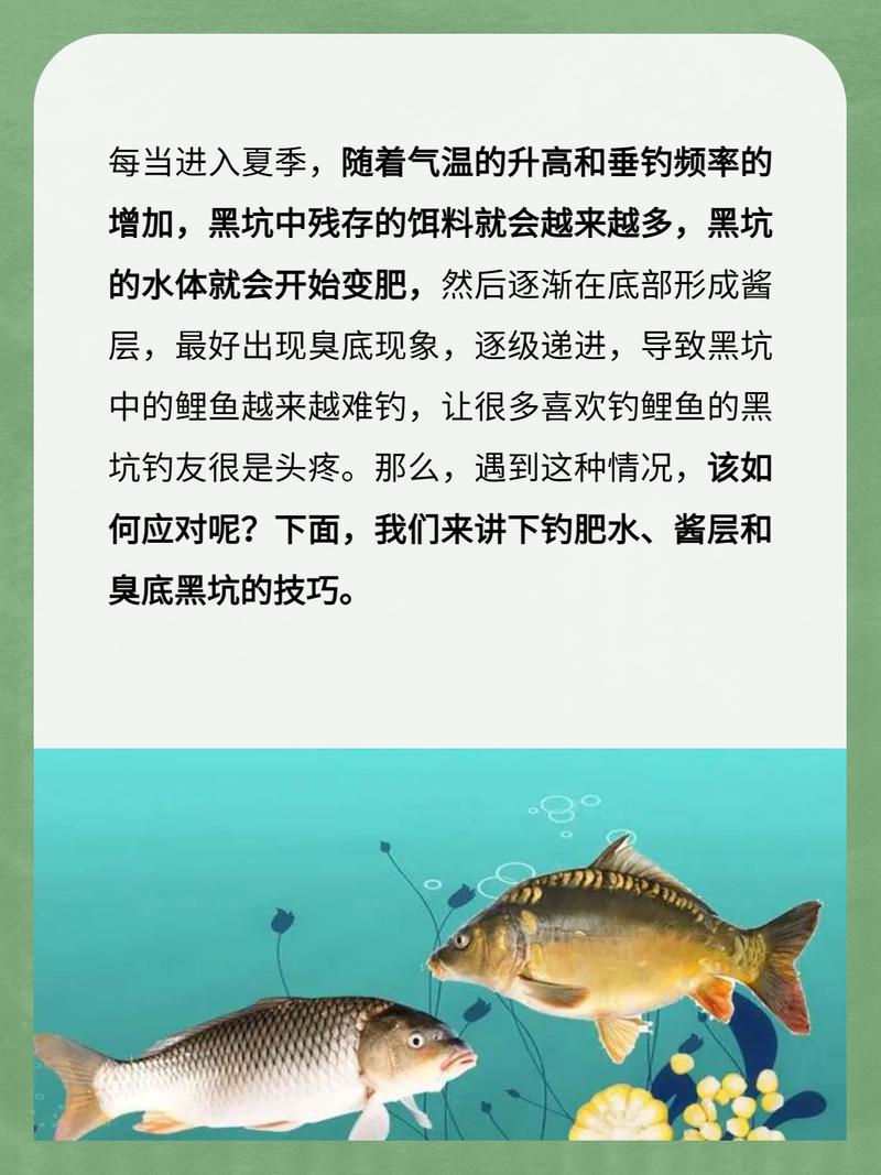 肥水魚難釣原因_關于肥水釣魚的一點經驗_肥水區釣魚技巧