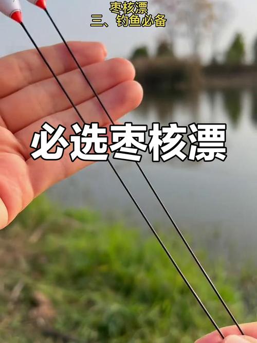 魚漂的種類_棗核型浮漂種類_棗核型浮漂優點