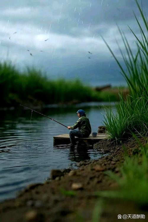 春季草魚釣位選擇_春季草魚垂釣時機_野釣草魚怎么釣