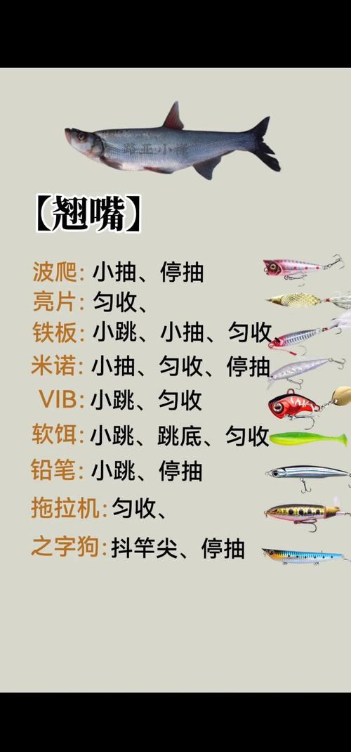 路亞竿調性_路亞竿選擇_魚線型號