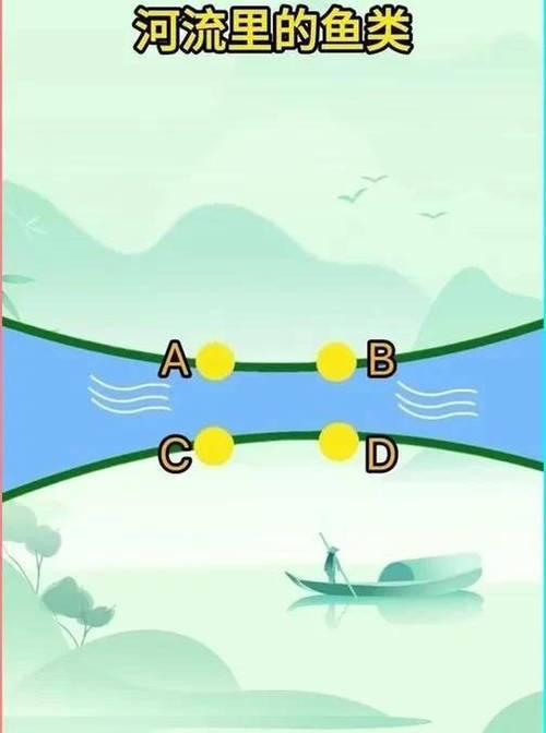 水庫釣鯉魚技巧_秋季水庫釣魚技巧_夏天河里野釣技巧