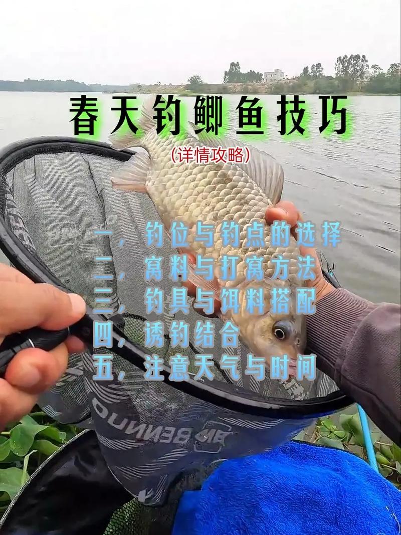 早春手竿野釣鯽魚技巧_春季釣鯽魚技巧_釣鯽魚跑魚原因