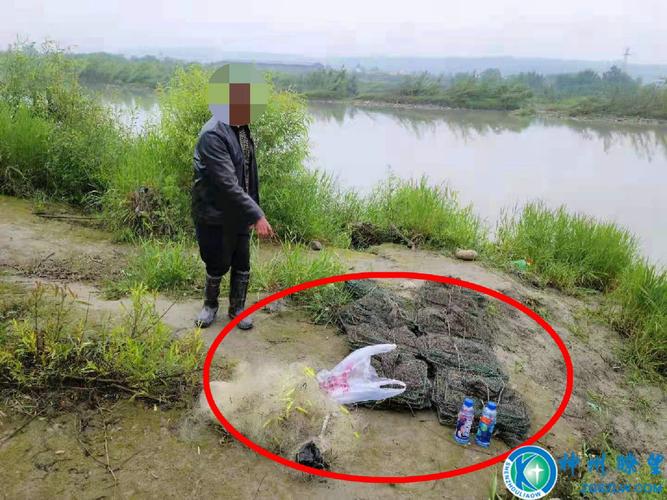 千萬斤鱘魚流入四川_宜賓江安長江鱘放生_長江鱘非法捕撈案件