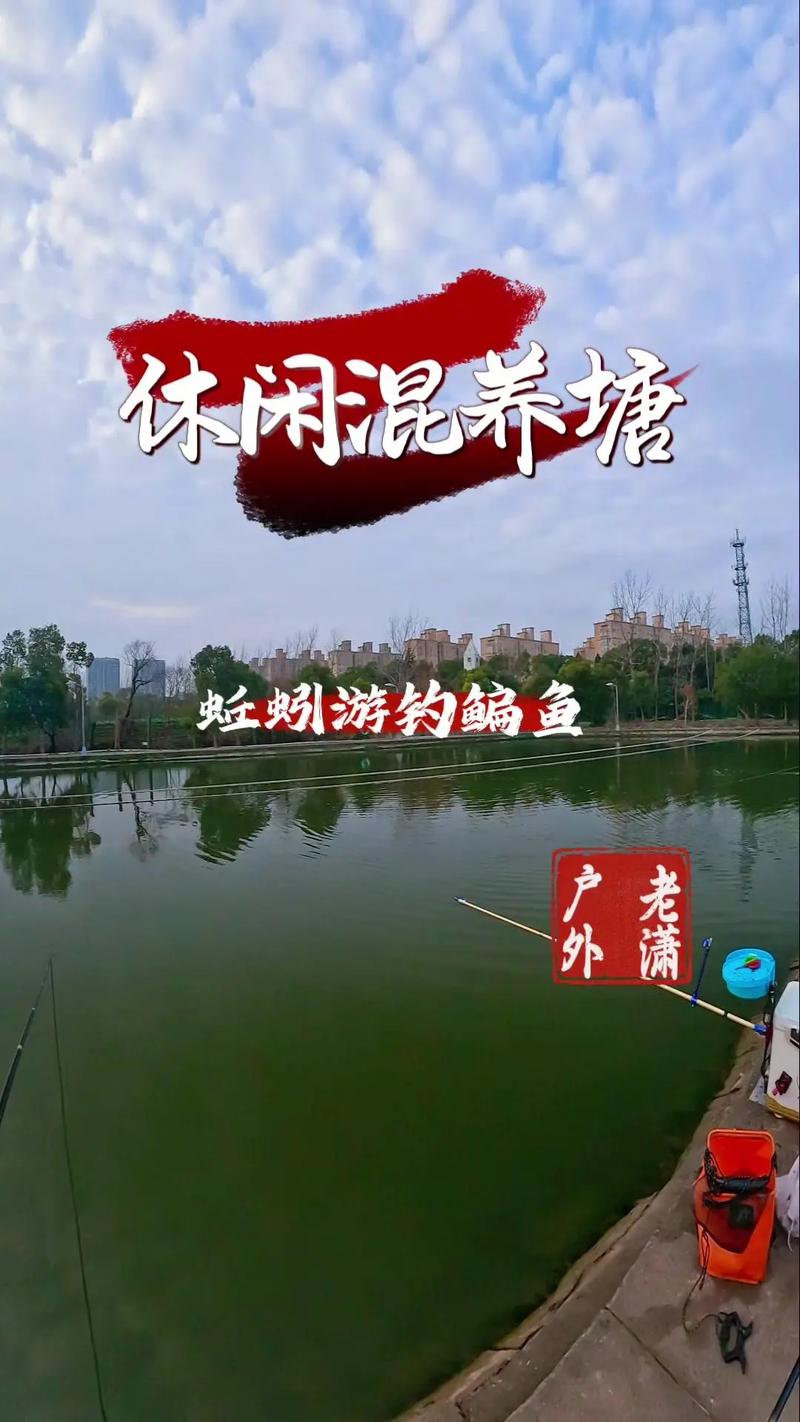 怎么釣鳊魚?魚塘達人進啊_新手入門鳊魚釣法_野釣鳊魚技巧