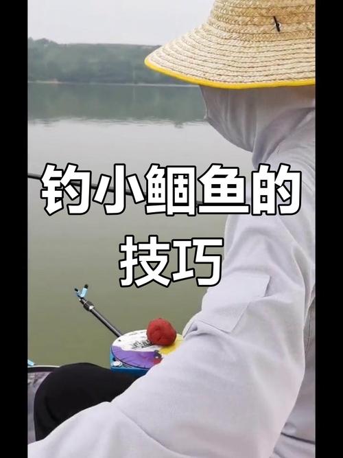 夏季鳊魚釣點選擇_怎么釣鳊魚?魚塘達人進啊_夏季野釣鳊魚攻略