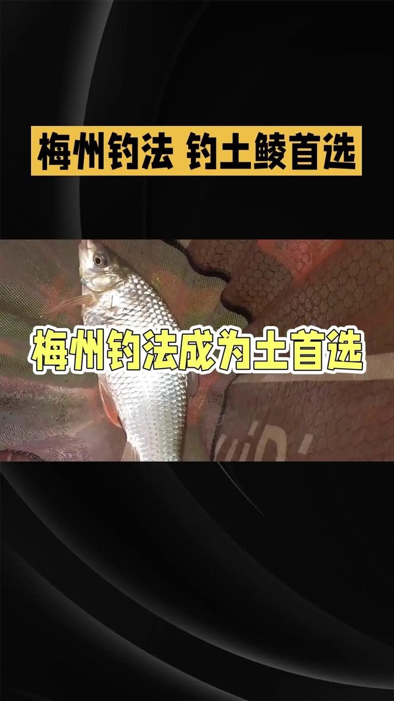怎樣釣鯪魚的一些釣法技巧介紹_鯪魚餌料選擇_南北魚餌土鯪餌料效果