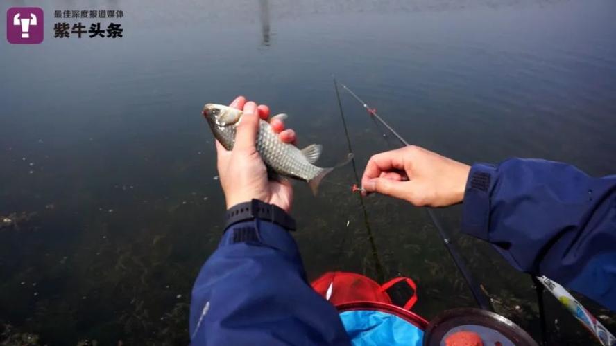 高淳地鐵釣魚_南京周邊野釣_南京釣魚大爺