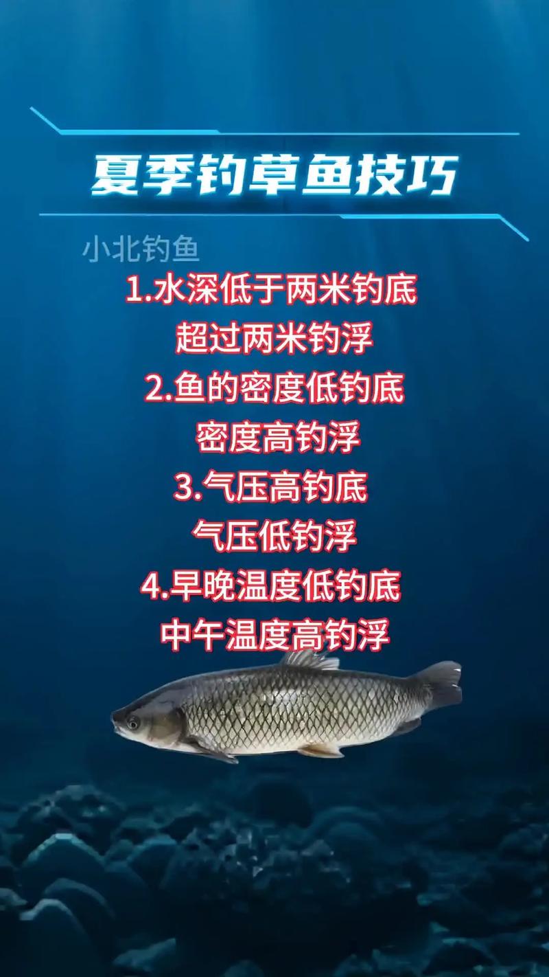 草魚布底窩釣法_草魚懸浮釣法_怎樣釣草魚釣草魚技巧