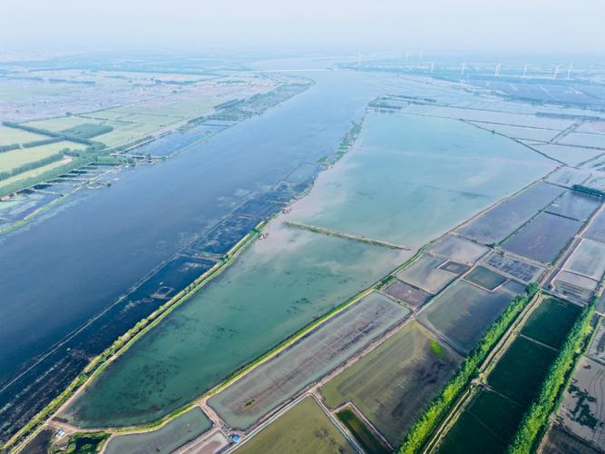 高郵湖退圩還湖工程_高郵湖生態修復_高郵湖