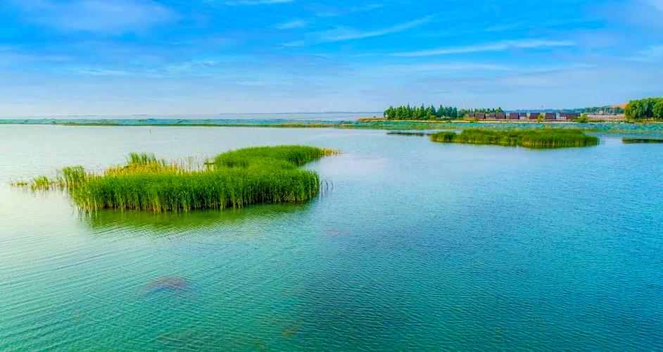 高郵湖生態修復_高郵湖_高郵湖退圩還湖工程